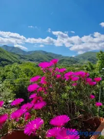 CASA VACANZE - Anna Holiday Home - Image 1