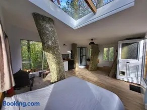 La maison dans l'arbre - Image 2