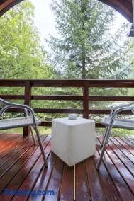 Vila Pinul si Mesteacanul - Image 2