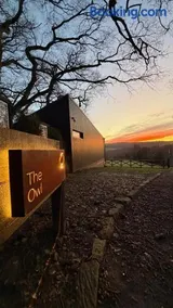 The Owl - Image 2
