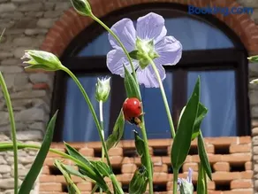 Agriturismo Mondo - Image 1