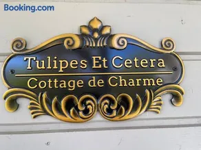 TULIPES Et CETERA - Image 2