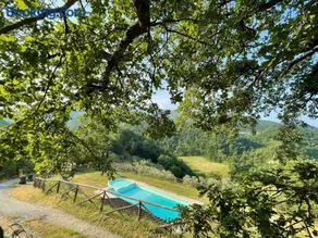 Agriturismo Il Colle - Appartamento Gelso - Image 2