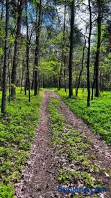 Ośrodek Wypoczynkowy KROPELKA - Image 4