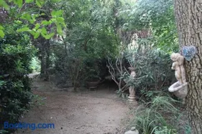 Escape al bosque! - Casa Vintage - Image 5