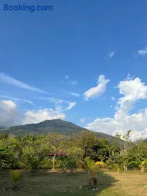 Finca Villa Oliva - Image 4