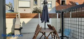 GRAINES AU VENT - Image 5