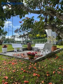 Casa de Vidro Sairé - Image 5