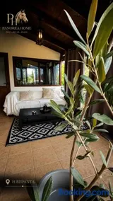 Panorea Home - Image 4