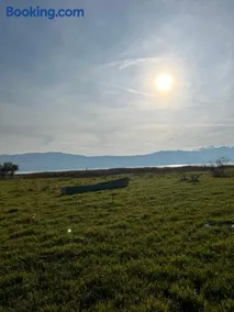 Lake shkodra - Image 3