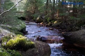 Fint boende nära Isaberg Mountain Resort - Image 3