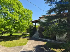 Lidden tree cottage - Image 2