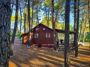 Cabaña Ananda Río Mundo - Image 1