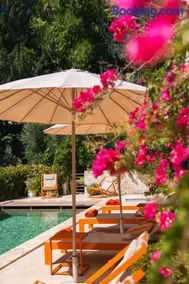 Le jardin des cordeliers - Image 2