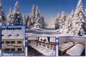 Pension Mikuláš v Krušných horách - Image 2