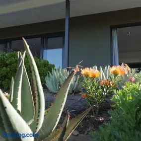 denBosch Cottages - Image 2