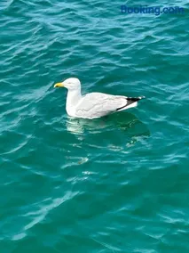 La Petite Mer - Image 2