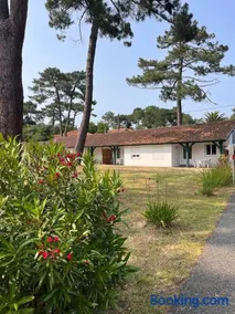 Les Pastourelles - Image 2