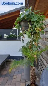 Ferienwohnung Ela 1 - Image 2