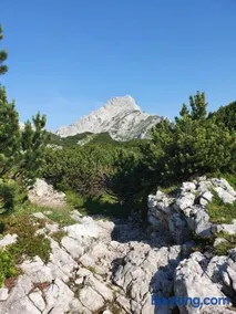 Holiday Home Prdelanca - Image 1
