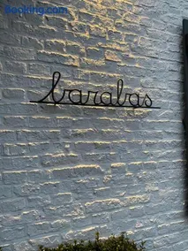 Barabas, la suite du D'Arville - Image 1