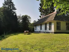 Midden in de Friese bossen op landgoed Princenhof - Image 2