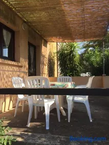 vigne maio - Image 3