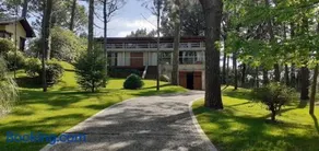 Ñandu 947 - Image 1