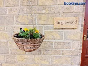 Tanglewood - Image 4