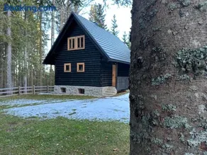 Cosy Lodge Pokljuka - Image 2