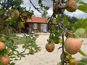 Walnut Tree Cottage Barn - Image 1