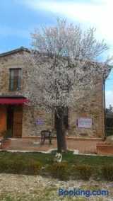 Country House La Fattoria Bellandi - Image 2