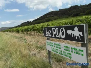 Bergerie Du Plo - Image 1
