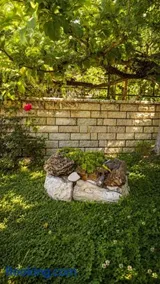ELPIDA Cozy Haven - Image 1