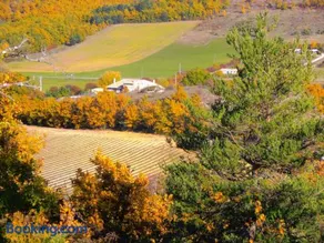 Chambre d'hôte dans ferme provençale - Image 2