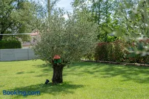 Casa Presika- Wellness, Fiber Net & Peace - Image 3