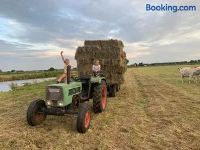 Boerencamping Swarthoeve - Image 1