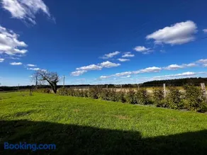 La Petite Gendronnière - Image 3