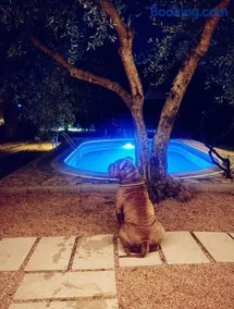 Holiday House Pulina - Image 2