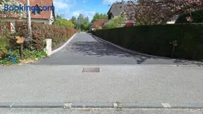 l'écureuil roux - Image 2