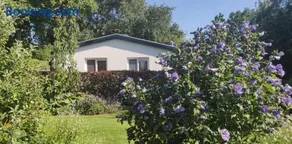 Vakantiebungalow Texel - Image 1