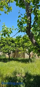 Masseria Vivi il Salento - Image 2
