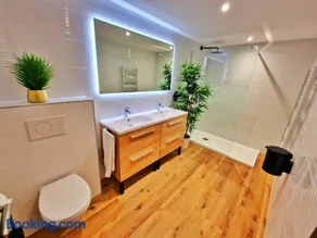 LOFT & SPA-6 Pers-Jacuzzi-Parking-Jardin-Clim-Colmar - Image 3