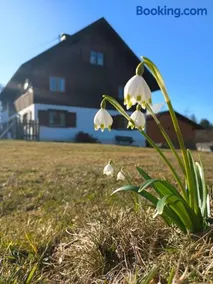 Ferienwohnung Hörger - Image 1