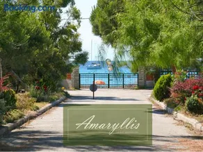 Amaryllis Summer Maisonettes - Image 1