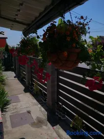 Noira House - Image 4