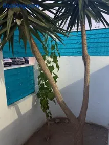 Aouina Stay - Image 5