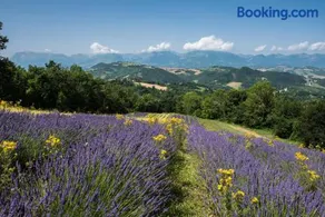 Agriturismo Amargi - Image 4