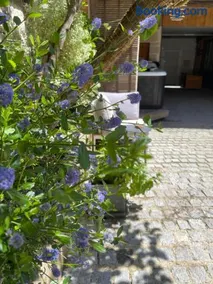 La Cour aux Bulles - Image 2
