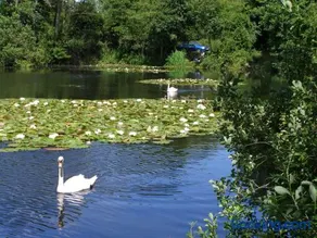 Stone House Farm (Adults Only) - Image 3